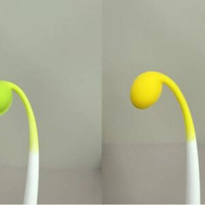 콩나물 볼펜(초록.노랑)