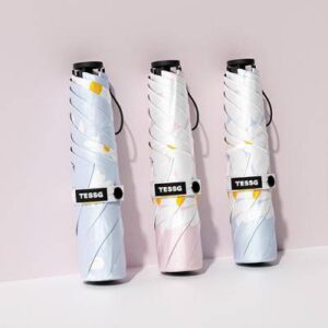 테스지 데이지 우양산