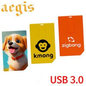 이지스 카드형 USB 3.0 메모리 64GB
