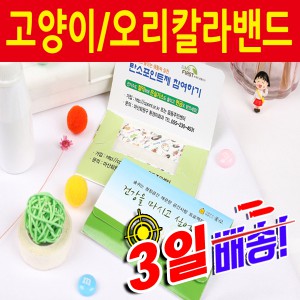 홍보용(고양이/오리)캐릭터밴드
