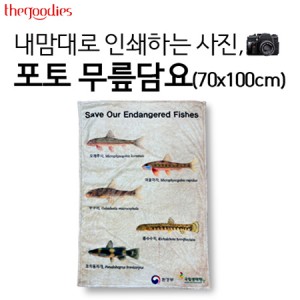 내맘대로 인쇄하는 사진, 포토 무릎담요 [70x100]